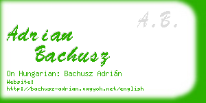 adrian bachusz business card