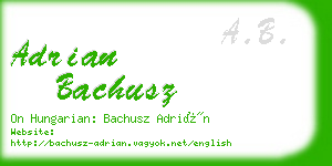 adrian bachusz business card